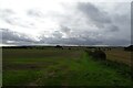 Fields south of Burton Fleming Road in YO25 3HW