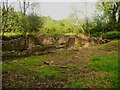Ruined cottages at the Derwentcote forge site in NE39 1NF