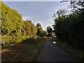 Towing path by Kennet and Avon Canal in RG7 4AH