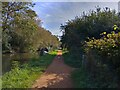 Towing path by Kennet and Avon Canal in RG1 6DA