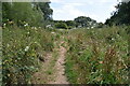 Footpath, Combe Haven in TN38 8FB