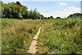 Footpath, Combe Valley in TN38 8FB