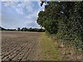 Footpath towards Burnthouse Lane in RG30 3RR