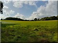 Sulhamstead Bannister Upper End field in RG7 4ED