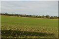 Gentle arable land in CB21 4DU