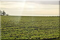 Arable land in winter in CB21 4DU