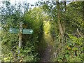 Footpath towards Trowe's Lane in RG7 2BG