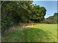 Footpath towards Trowe's Lane in Beech Hill