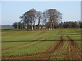 Farmland near Hungerford in RG17 0RB