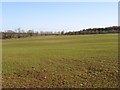 Farmland near Hungerford in RG17 0GX