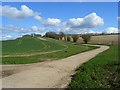 Farmland and byway, Newtown, Shalbourne in SN8 3RP