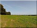 Little Copse farmland in RG7 2AA