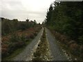 Forestry road near Appin in PA38 4BA