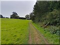 Farm track near Hatchments Shaw in RG18 9UR