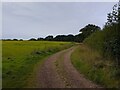Byway towards Stonecross Copse in RG18 9UR