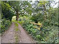 Footpath towards Brocks Lane in RG7 6EG