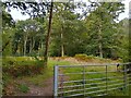 Hawkridge Wood bridleway in RG7 6EG
