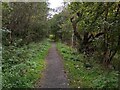 Path through nature reserve in G67 4EN