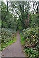 Permissive Path Through  Coppin's Hall Wood in CO16 8BH