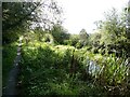 Section of disused Montgomery Canal in SY21 9LG