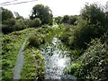 View down onto a disused part of the Mntgomery Canal in SY21 9LG