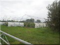 Stripped-down polytunnels in NR12 8RG
