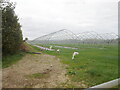 Polytunnel frameworks in NR12 8RG