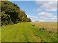 Footpath towards Brightwalton in RG20 7BH