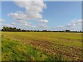Brightwalton Green farmland in RG20 7BH