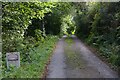 Track to Rising Sun Farm in TR4 8LQ