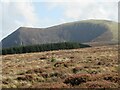 Across a soggy moor towards Mynydd Mawr in LL54 7LE