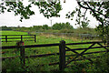 Row of open stalls, apparently disused, Westerland Farm, 2010 in Duncton