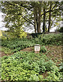 Old Milepost by Park Street, Heytesbury parish in BA12 0HE