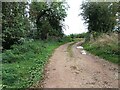 Footpath near water works in WR8 9LB