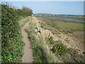 Thorney Island path approaching the sailing club in West Thorney