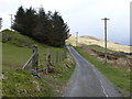 Lon gul uwchben Tregaron / Narrow lane above Tregaron in SY25 6HN