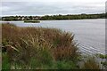View over Broadwood Loch in G68 9EF