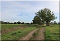 Bridleway from A10 in PE38 0HW