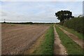 Footpath from Sporle Wood in PE32 2DE