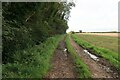 Footpath by Sporle Wood in PE32 2DU