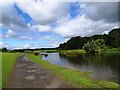 Nature pond at Herrington Country Park in DH4 4UT