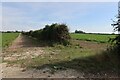 Fields near Barton Bendish in PE33 9DW