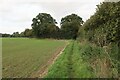 Footpath to Little Dunham in Little Dunham