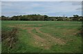 Field by Dunham Road in PE37 8DJ