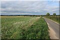 Field by Newton Road in PE32 2BY