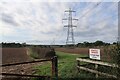 Pylons by Newton Road in PE32 2EH