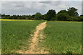 Footpath across field in TN12 9GN