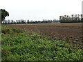 Ploughed field, Blofield Heath in NR13 4SE