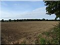 Field near Heath Farm in NR13 6JZ