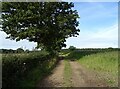 Farm track off Primrose Corner in NR13 6JZ